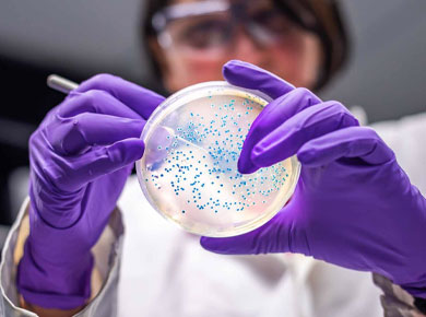 A researcher manipulates a sample in the laboratory