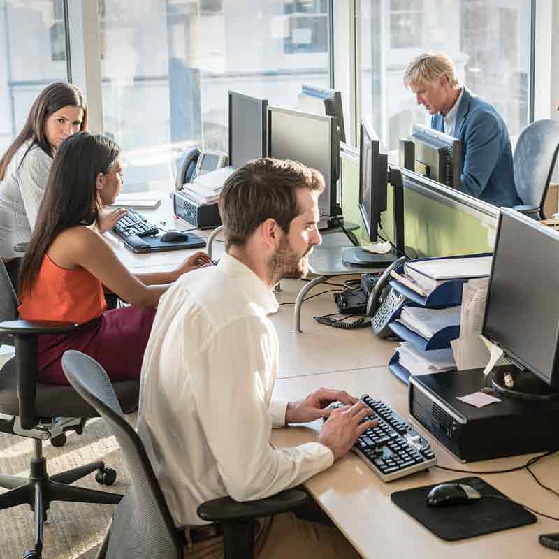 Un groupe de gens travaillent devant des ordinateurs.